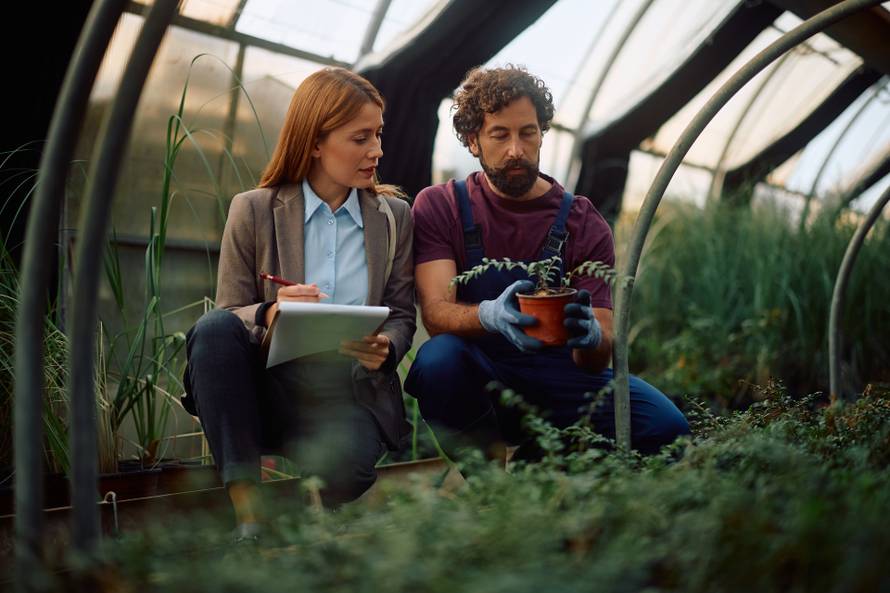 Quality,Control,Manager,And,Worker,Analyzing,Potted,Seedlings,At,Plant