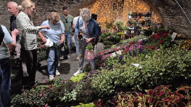 FOTO Cvjetni spektakl u Slavonskom Brodu: Florafest okupio više od 50 izlagača