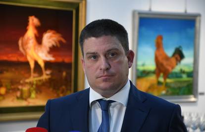Oleg Butković: 'Vjerujem da će saborska većina odbiti smjenu Gordana Grlića Radmana'