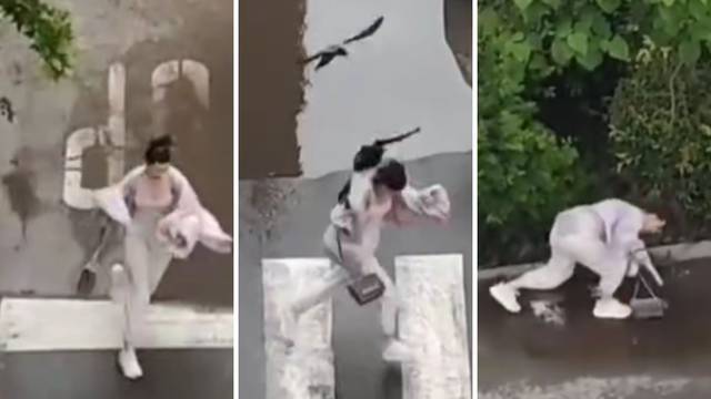 Dramatična snimka iz Srbije: Vrane napadaju prolaznike, djevojka pala na stazu i vrištala