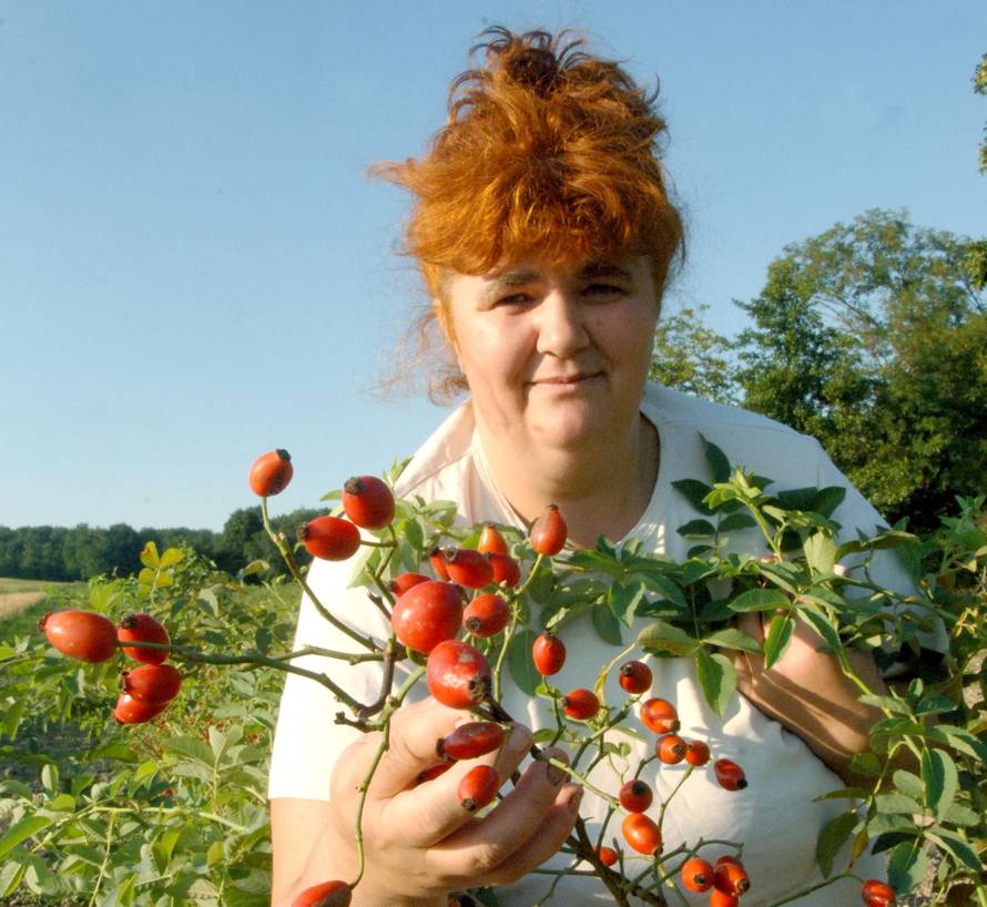 Sipak obitelji Zelenika iz Velike