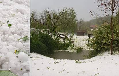 Kumrovec se zabijelio: 'Palo je toliko tuče... Ovo sve u samo pola sata! Vrt nam je uništen'