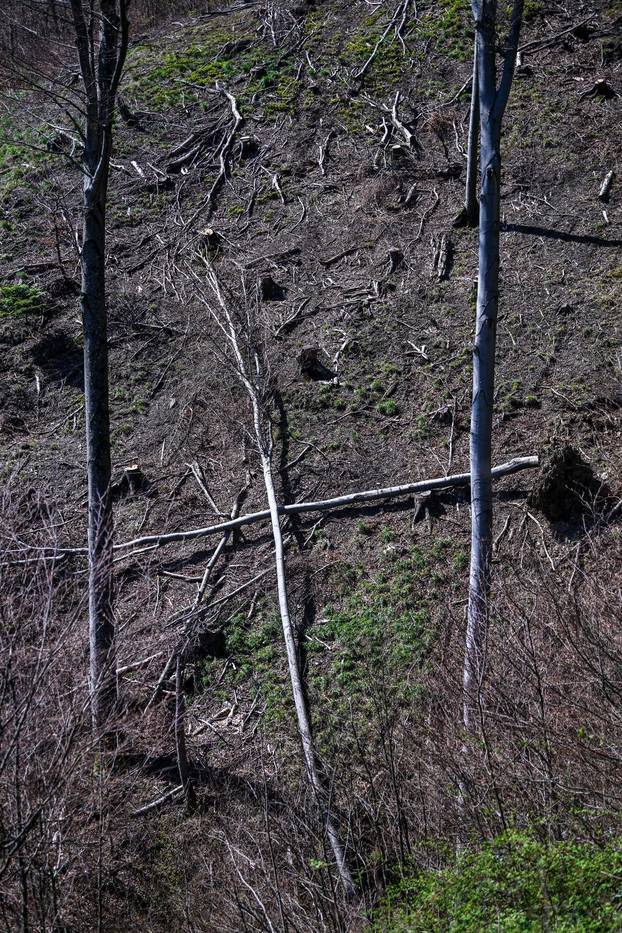 Zagreb: Posljedice olujnog nevremena na Sljemenu