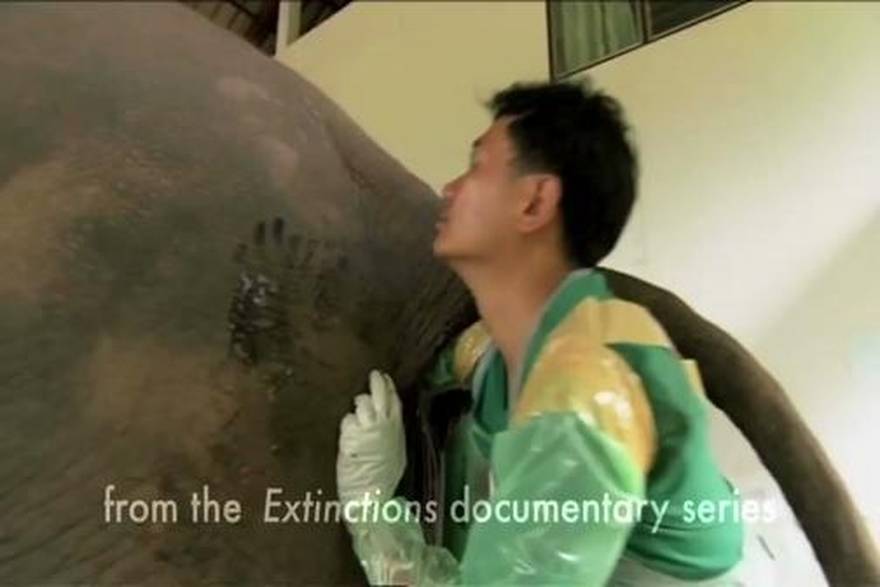 YouTube/Animal Planet