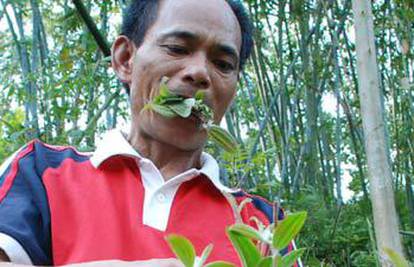 Kinez (50) posljednje dvije godine jede isključivo lišće