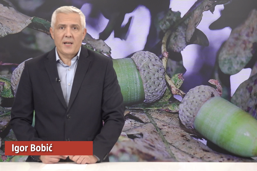 Gledajte '240 sekundi' 24sata: 'Kralj žira' ispao je iz igre. Lani je na prodaji zaradio milijune