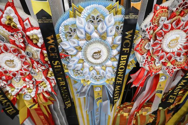 FOTO Otvorena Svjetska izložba mačaka u zagrebačkom Family Mallu! Traje i tijekom nedjelje