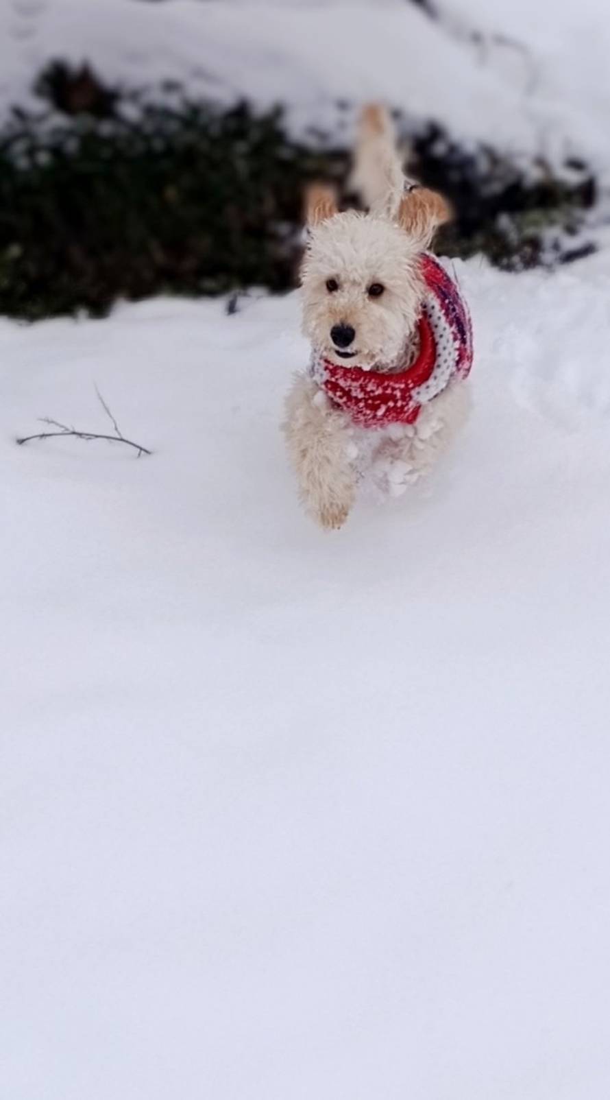 Općinska komunalka sama 'izlopatala' snijeg sa staze: 'Nema nikakve drame u tome'