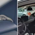 Nevjerojatna scena iz Buja: Vraćao se iz trgovine i našao poskoka kako se sunča u autu
