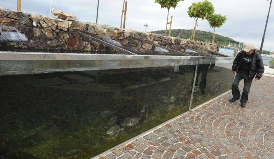 Hrvoje Jelavić/Pixsell