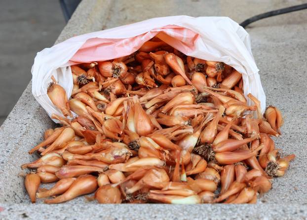 Šibenik: Bogata ponuda vo?a i povr?a na gradskoj tržnici