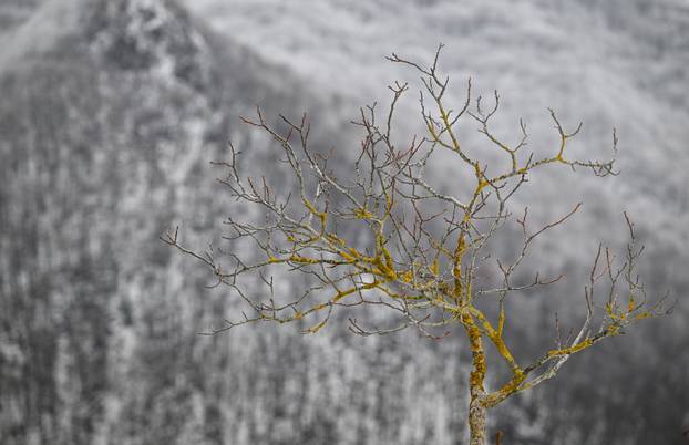 Snijeg u samoborskom gorju