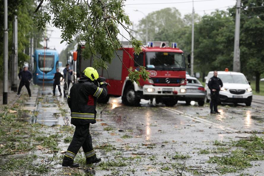 Zagreb: Palo stablo na Maksimirskoj, blokiran promet, vatrogasci na terenu