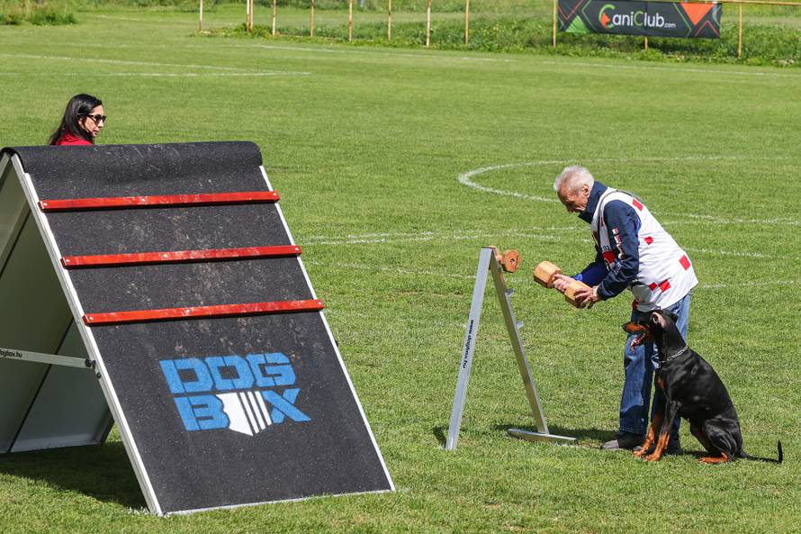 Međunarodna izložba natjecanje dobermana u Kurilovcu