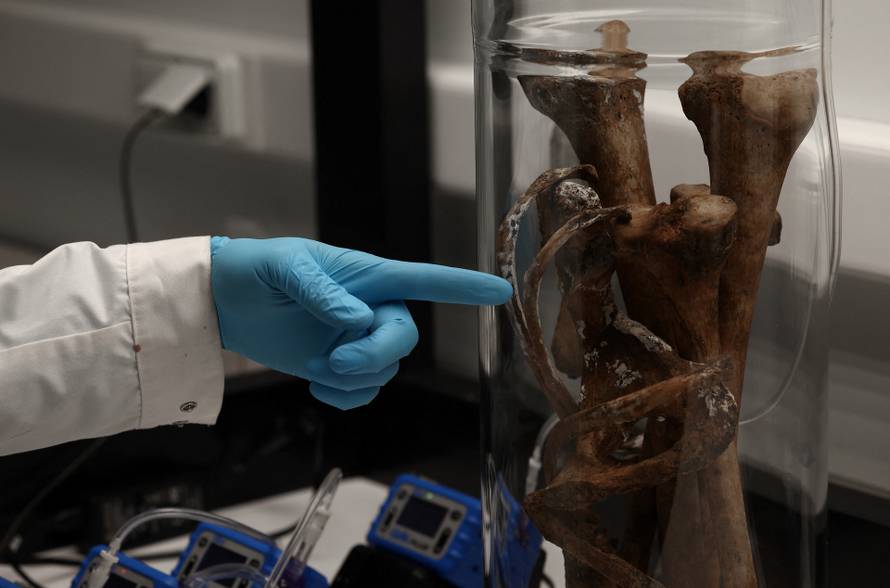 Bottling the smell of death