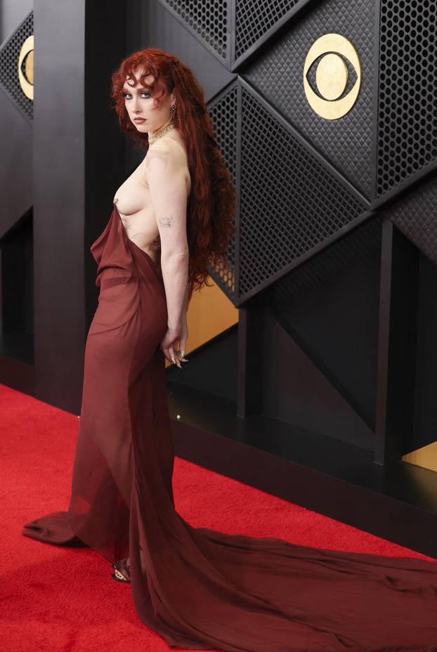 68th Annual Grammy Awards in Los Angeles