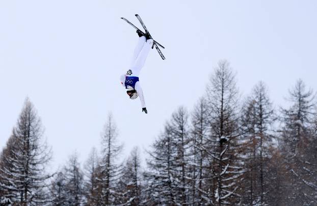 Freestyle Skiing - Men's Aerials Finals