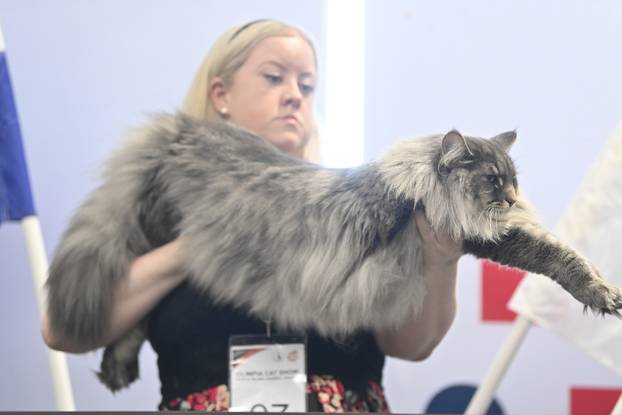 Zagreb: Međunarodna izložba mačaka WCF Cat Olimpia 2025