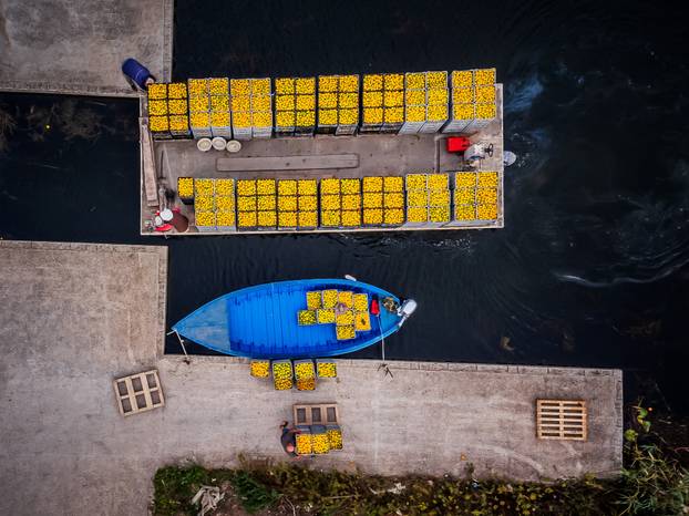 TOP 100 fotografija u 2023. godini 