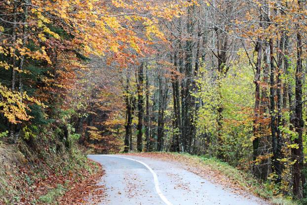Delnice: Boje jeseni u Gorskom kotaru