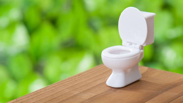 Kad 'stisne' u gradu: Aplikacija 'Flush' pomaže pronaći dostupni WC gdje god se nalazili