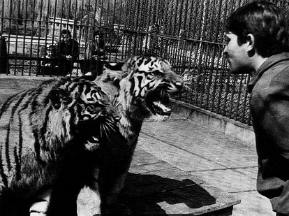 FOTO Ovo su prve životinje koje su živjele u zagrebačkom ZOO-u