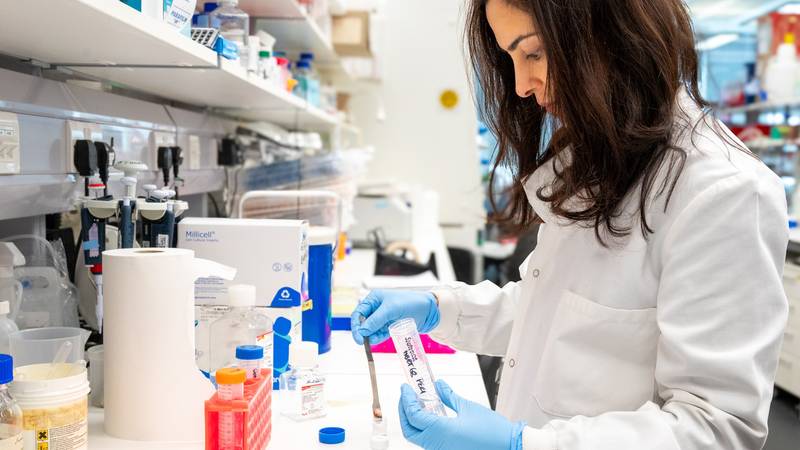 pxl pa 140724 117504918