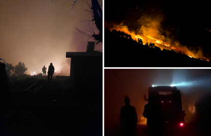 Vatra bila tek nekoliko metara od kuća u Lokvi, vatrogasci su spriječili širenje unatoč buri