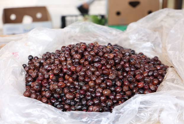 Šibenik: Ponuda na šibenskoj tržnici