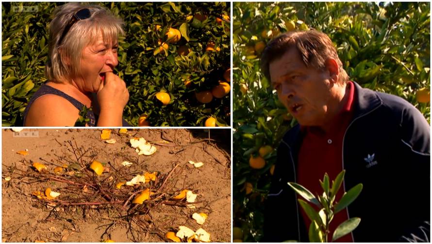 Ljubo poludio na Violetu: Sve si mandarine pojela, glavo luda!