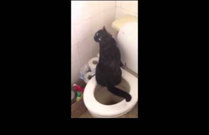 Mačka naučila koristiti ljudski WC gledajući svoje vlasnike