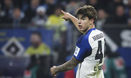 Vu&scaron;kovi&cacute;: Vrlo je bezobrazno napadati moju obitelj i brata