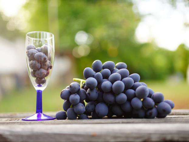  grapes in the garden