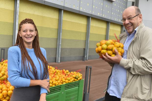 Zagreb: Prodavačica mandarina Kristina Penava ponovno prodaje mandarine na štandu 