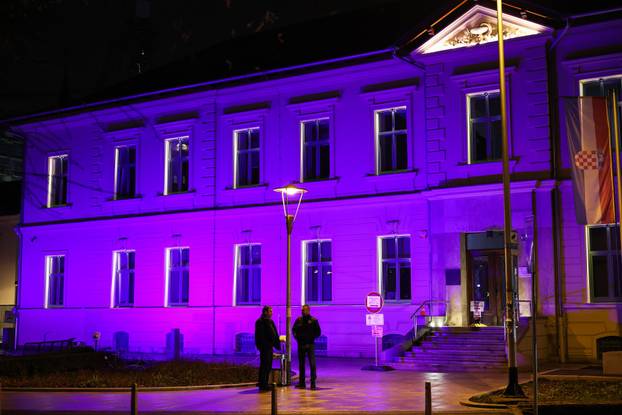 Zagreb:  KBC Sestre milosrdnice obojana je u ljubičasto povodom međudarodnog dana epilepsije