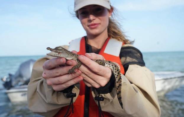 FOTO Zovu je najzgodnijom i najhrabrijom znanstvenicom: 'Ne bojim se krokodila ni zmija'