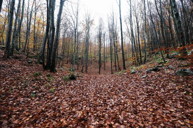 Vodice: Jesenja mističnost Ćićarije
