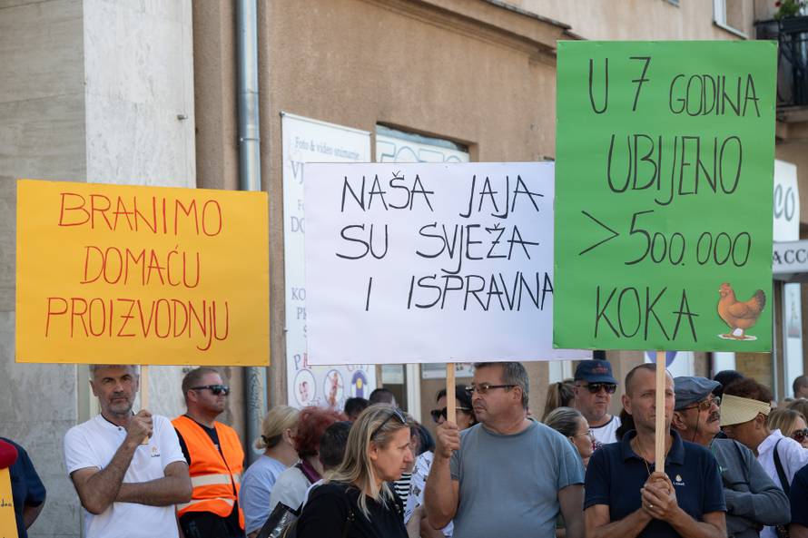 Zagreb: Lukač peradarstvo prosvjeduje zbog toga što moraju ubiti 170.000 kokoši
