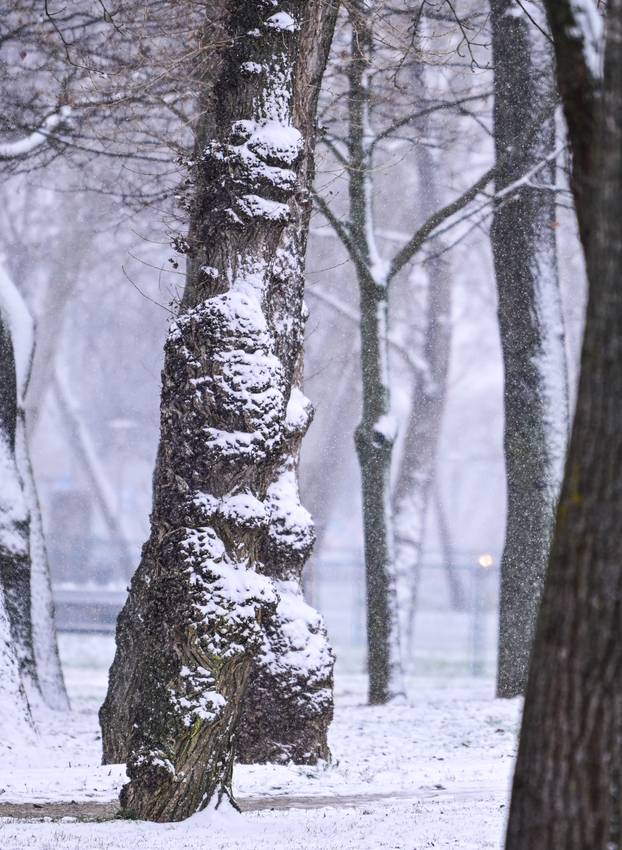 Zagreb: Zimska idila na Bundeku