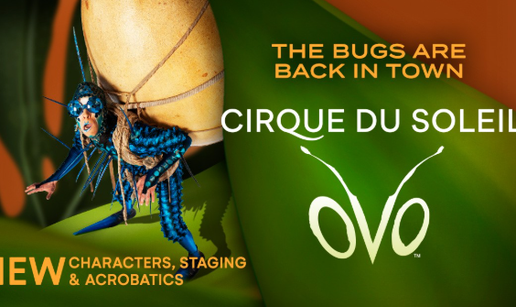 &Scaron;arena i energi&ccaron;na predstava za sve generacije: OVO - Cirque du Soleil