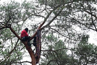 FOTO Policijska akcija na visini: Prosvjednici protiv Tesle podigli logor u krošnjama, rastjerali ih