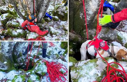 VIDEO Fredi je upao u jamu kod Rijeke i zavijao, HGSS-ovci ga izvukli: 'Trenutno se oporavlja'