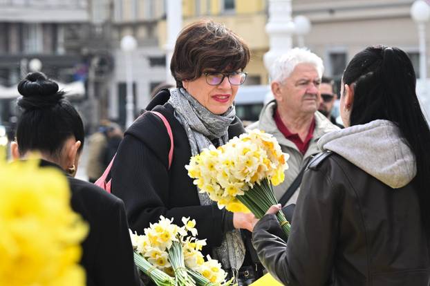 Zagreb: Obilježavanje jubilarnog 30. Dana narcisa