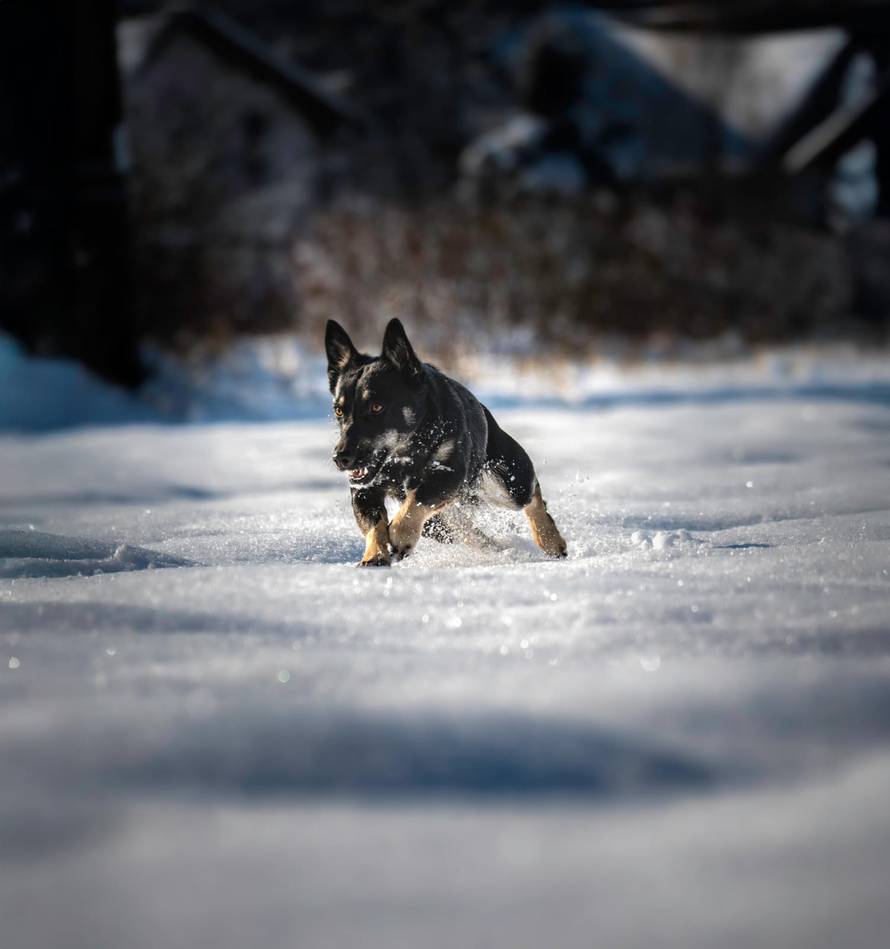Općinska komunalka sama 'izlopatala' snijeg sa staze: 'Nema nikakve drame u tome'