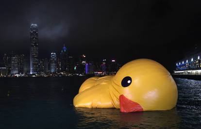Turisti u šoku: Divovska patka ispuhana je plutala na vodi 