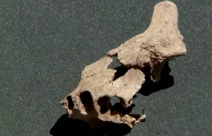 U Španjolskoj pronašli ljudski fosil. Najstariji je ikad u  Europi?