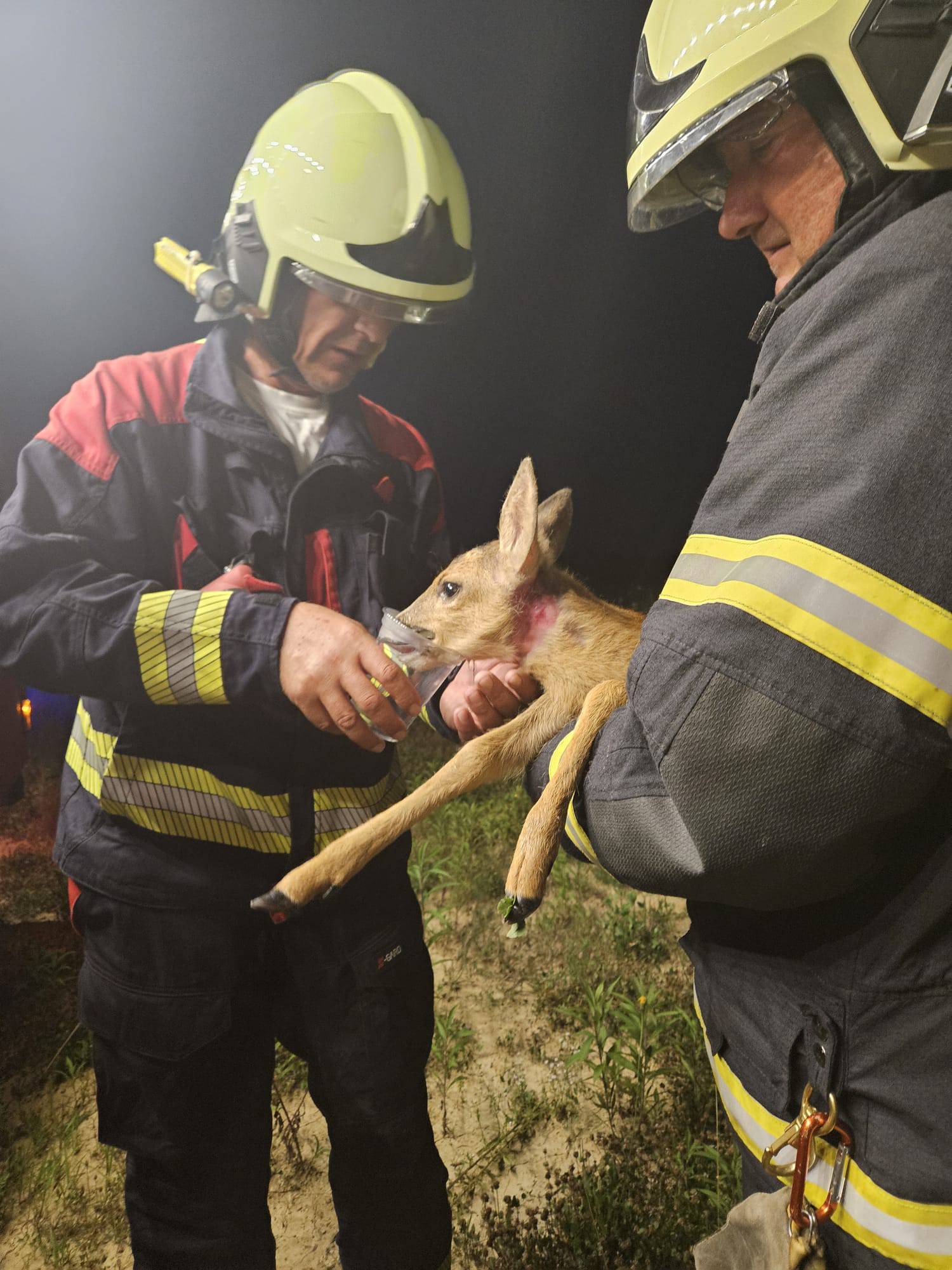 FOTO Spasili srnu u Kerestincu: 'Čuli smo cvilež u travi i vidjeli srnu koja je zapela u ogradi'