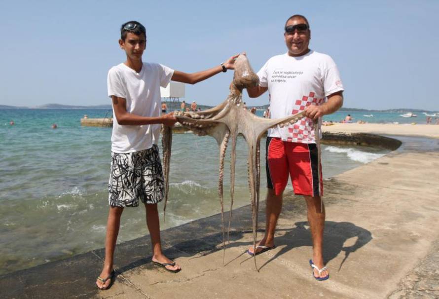 Duško Jaramaz/PIXSELL