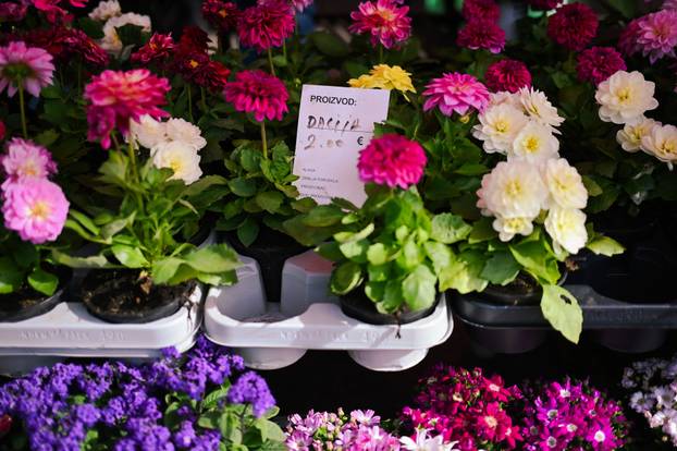 24sata Zagreb: Ponuda cvijeća na Dolcu 