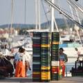 ZBOGOM, PAPALINE 'Jadran se zagrijava. Ako ovako nastavi, do kraja stolje&cacute;a &cacute;e izumrijeti'